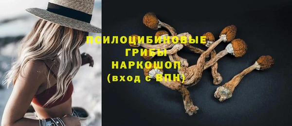 прущий лед Арсеньев