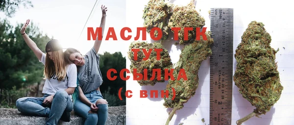 мет Алексин
